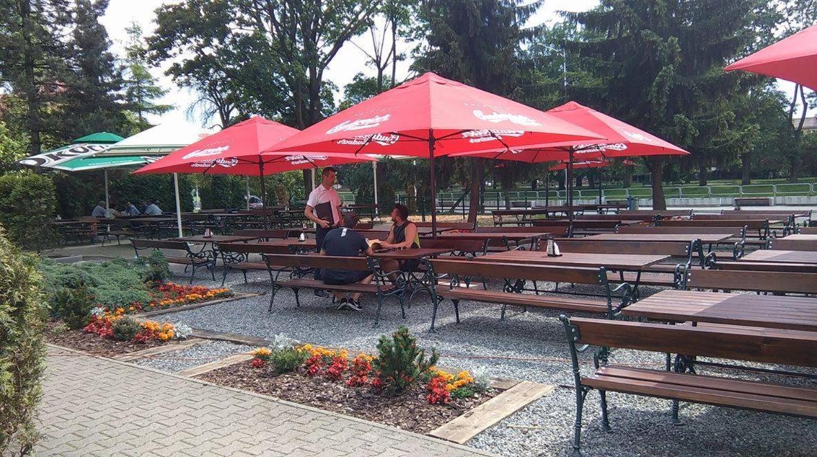 Hotel Dworek Cieszynski Cieszyn (Silesia)